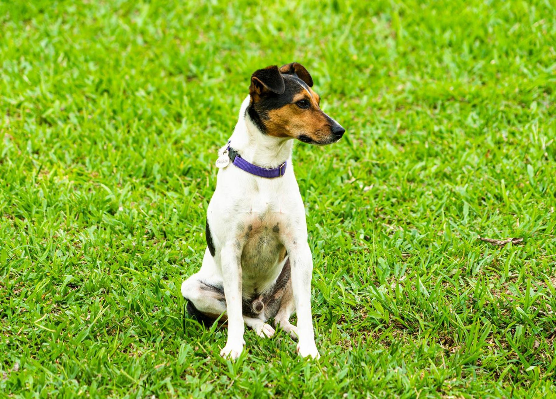 Willa Aldea Sabatinga Manizales Zewnętrze zdjęcie